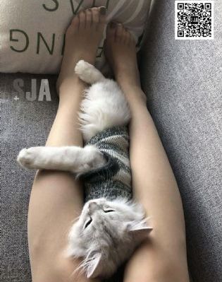 很黄很黄的视频无码无遮挡在线播放_加长未删减版在线观看